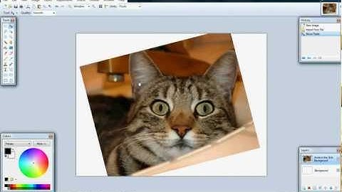 How to rotate images on Paint.NET