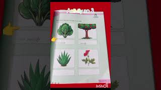 Grade 2 Subject Seeking knowledge Summer Pack Guideline video 2026