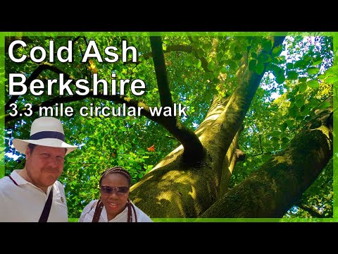 Berkshire 3.3 mile circular walk: Cold Ash