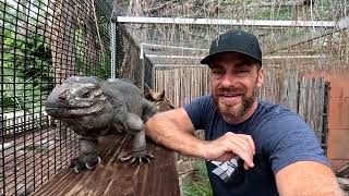 Why I Dedicated My Life to Reptiles | Kamp Kenan