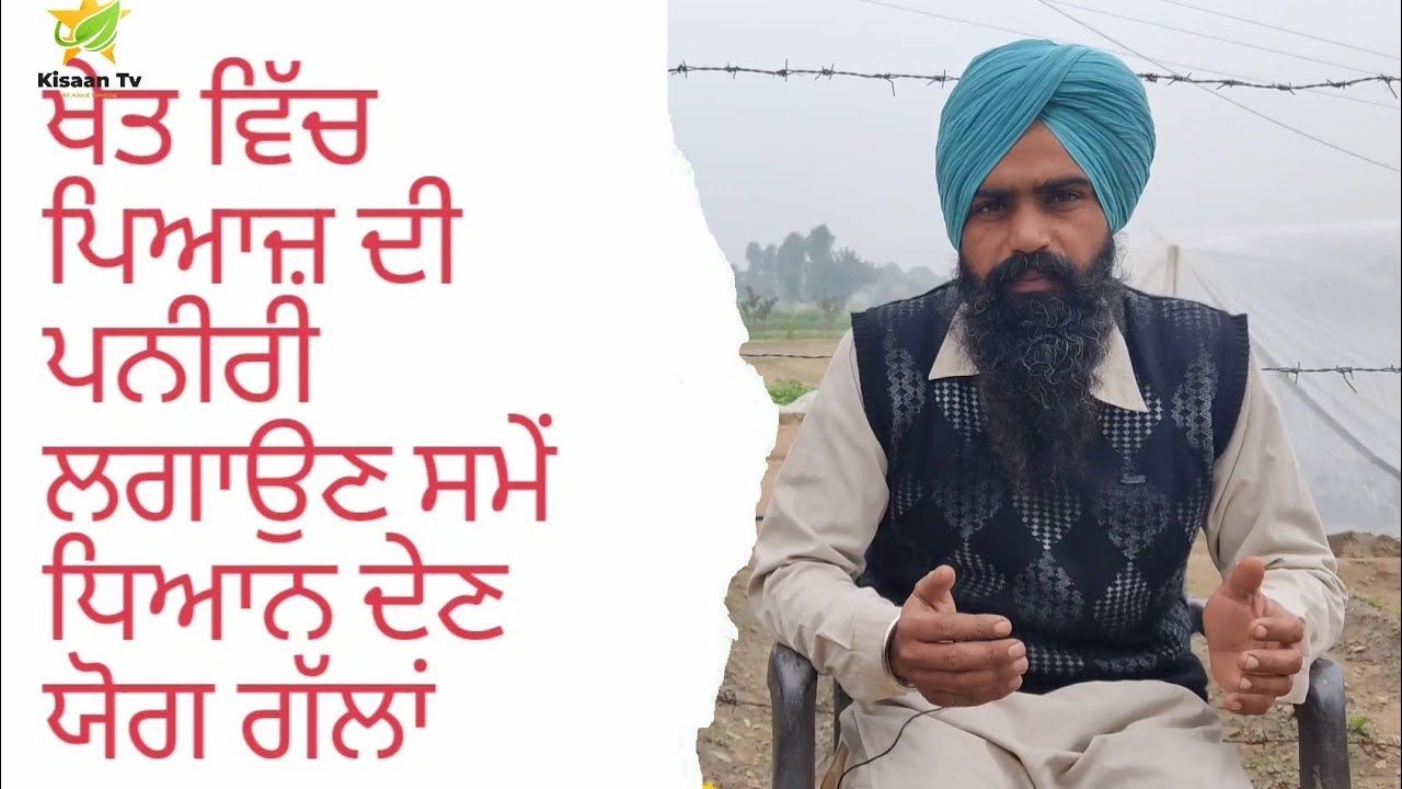 ਪਿਆਜ਼ ਦੀ ਖੇਤੀ ਲਈ ਧਿਆਨ ਦੇਣ ਯੋਗ ਗੱਲਾਂ । tips for onion farming / kisan tv