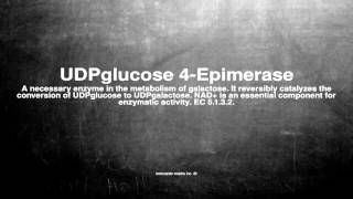 Medical vocabulary: What does UDPglucose 4-Epimerase mean
