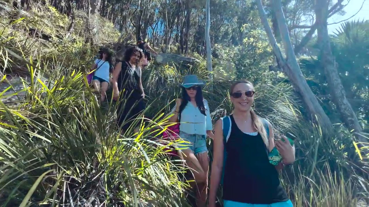 Sydney to Ku-Ring-Gai National Park with Beyond Guidebook Australia