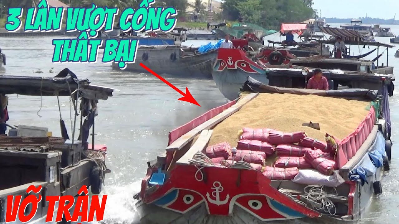 ghe lúa thất thủ 3 lần vượt cống thất bại vì nước đổ quá mạnh/ cống ...