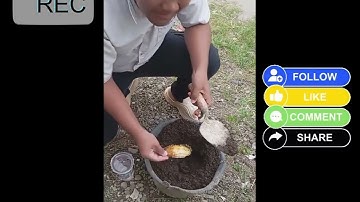 Tugas vlog Informatika Kelas 9H