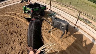 TEAM ROPING TIPS: Training a Head Horse on the Sled
