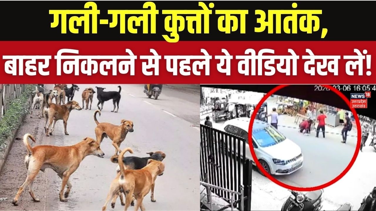 Street Dog Attack Prevention: सड़क पर आवारा कुत्तों का आतंक! |Stray Dog Menace | Top News