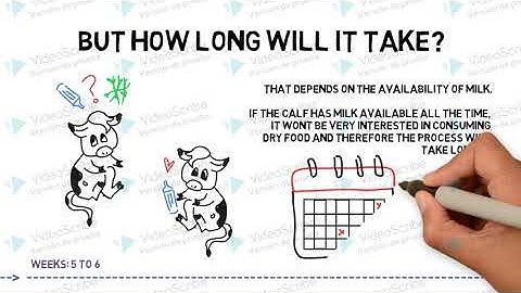 Rumen Development Timeline
