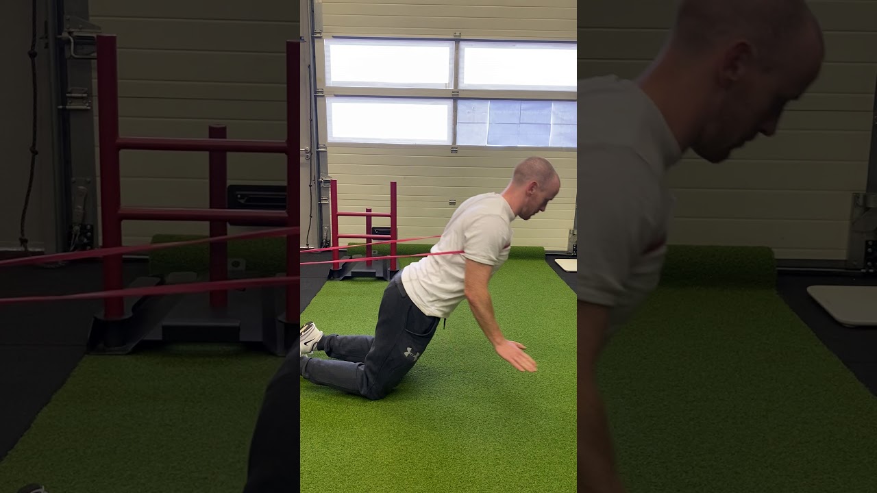 nordic hamstring curl nordic hamstring curl
