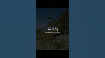 {أَنْ إِذَا سَمِعْتُمْ آيَاتِ اللَّهِ يُكْفَرُ بِهَا وَيُسْتَهْزَأُ بِهَا} سورة النساء اية 140 💙💙