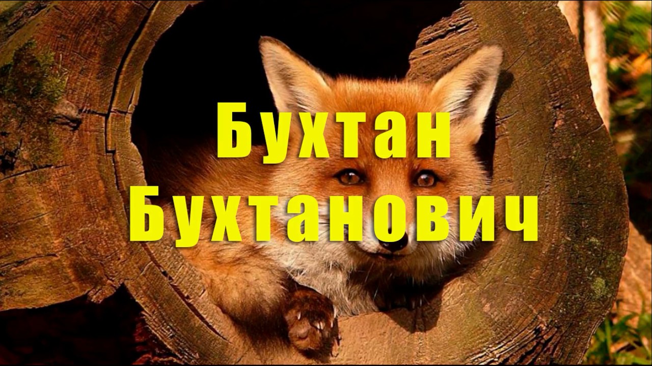 царь и слуги. бухтан бухтанович сказка картинки. гъиба в исламе. ворона на бочке. рисунок царь лиса.