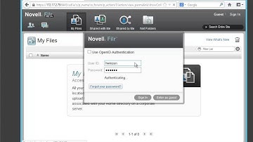 Novell Filr File Server Integration