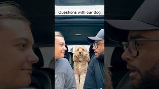 Celebrity Mini Cockapoo Thinks Hard Before Answering Who She Misses More 😂 Wealth