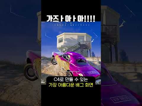 배그 역대급으로 예술적인 <strong>C4</strong> 활용법