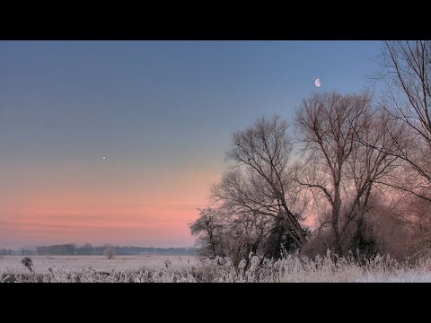 Самая яркая звезда рано утром. Что это? Звезда или планета?