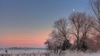 Самая яркая звезда рано утром. Что это? Звезда или планета?