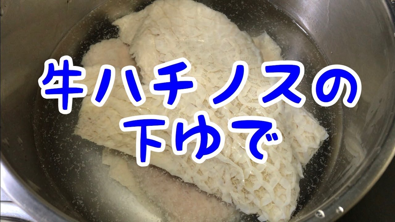 牛ハチノスの下ゆで Youtube