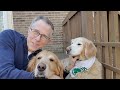 Python with Puppies Lesson 2 (Conditional statements - if/elif/else)