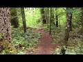 Virtual Hike: Pristine Forest Wilderness to Lake -Actual Sound/50min