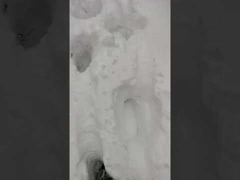 Огромный снежный покров