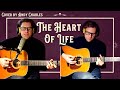 The heart of life john mayer cover  andy charles