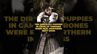 The DIREWOLF Puppies in GAME OF THRONES Were Real Northern Inuit Dogs
