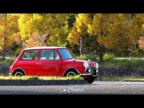 ローバーミニ クーパー MK-3スタイル | Rover mini MK-3 Custom