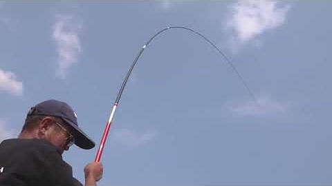 CẦN CÂU HANDING | MAD SHARK 6M3