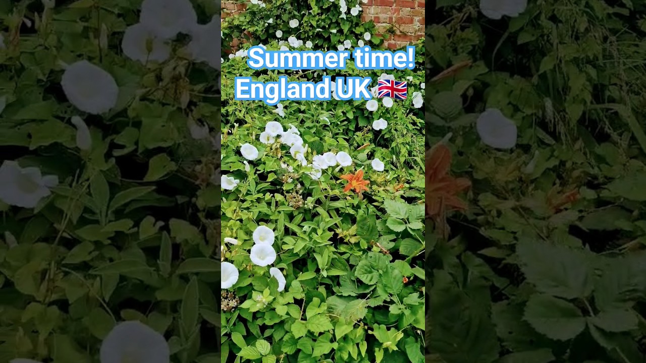 Summer time! England UK 🇬🇧 travel viral nature trending subscribe