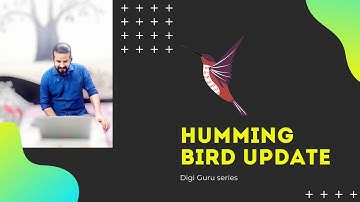 Google Hummingbird | A Complete Guide for Google Algorithm | Google Hummingbird updates