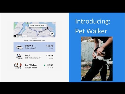 Video: Uber của Dog Walking là đây