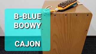 B-BLUE/BOOWY/弾き語り用