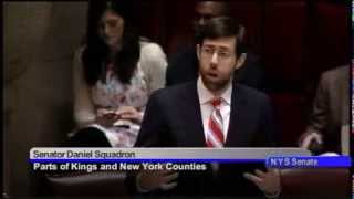 Senator Squadron on S.1513