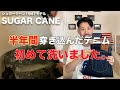 【SUGAR CANE】半年間穿き込んだシュガーケーン1947モデルを洗ったらすごかった!!!デニムの経年変化【ファーストウォッシュ】