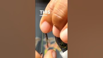 Egg Laying Caddis - Speed Tie.