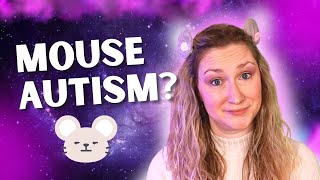 The MOUSE model of autism