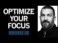 Focus toolkit tools to improve your focus  concentration  huberman lab podcast 88