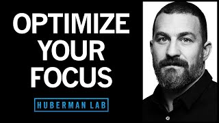 Focus Toolkit: Tools to Improve Your Focus & Concentration | Huberman Lab Podcast #88 screenshot 5