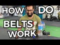 How Weightlifting Belts Work - Conceptualising Intra Abdominal Pressure