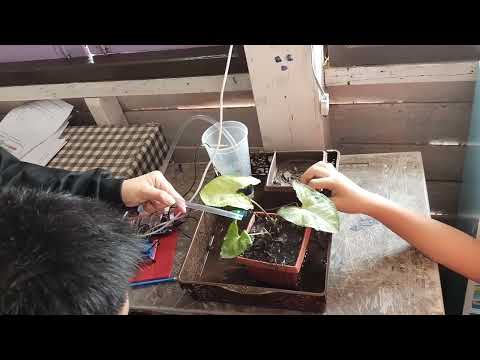 stem เครื่องรดน้ำอัตโนมัติ