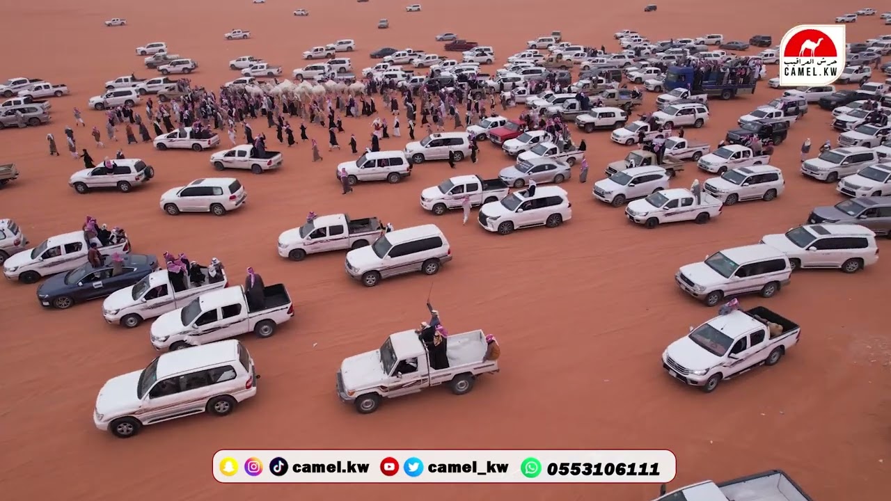 مسيرة منقية عبدالله بن دلمخ السبيعي بمهرجان الملك عبدالعزيز النسخة 9