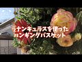 【2月】低い草丈を活かしたラナンキュラスのハンギングバスケット！