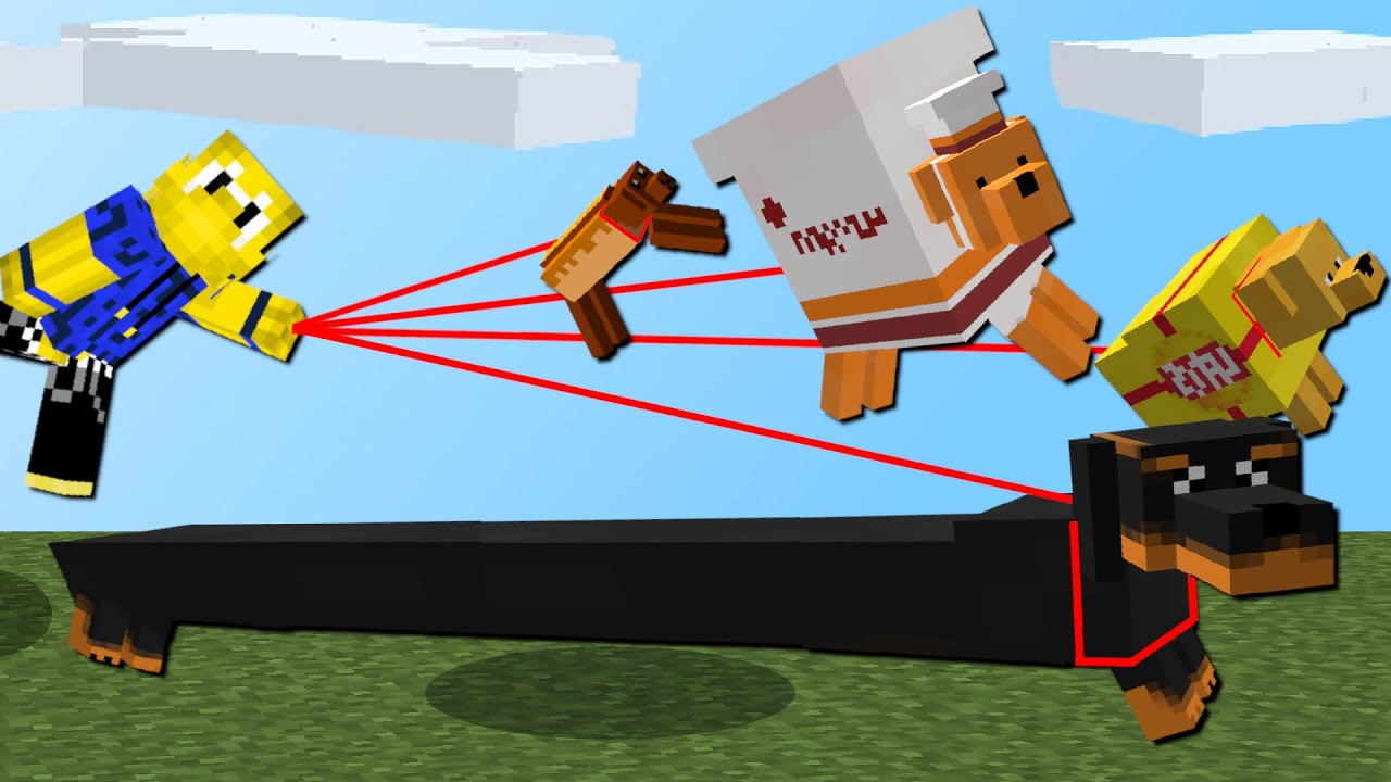 30 Meter Dackel! (Nudel Hund, Chips Hund, Streuner und mehr)