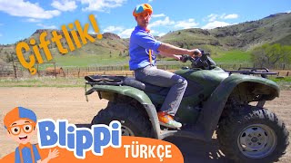 Blippi Çiftliği Ziyaret Ediyor | Blippi Türkçe - Çocuklar için eğitici videolar | Türkçe Dublajlı