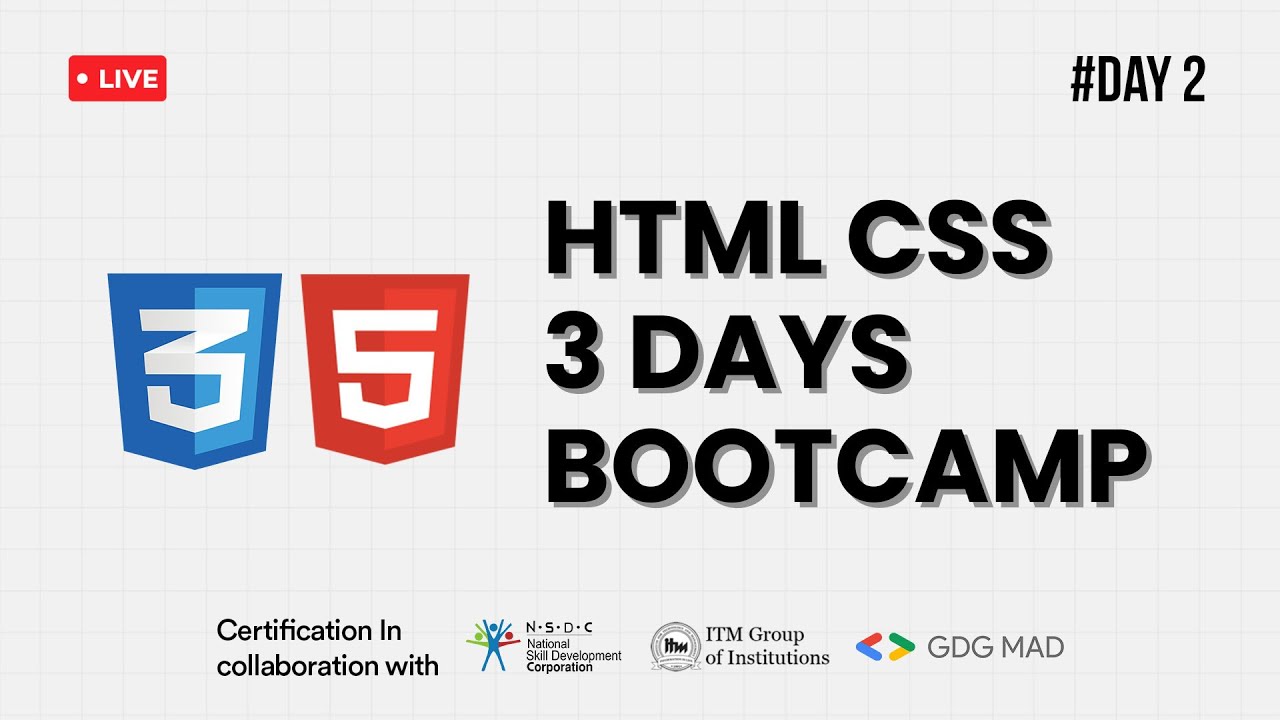 Day 2 | Styling and Layout with CSS - YouTube