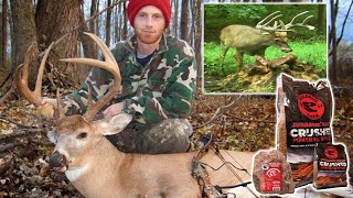 Bowhunting a MONSTER 155" 8-Point Buck! - EXPERIMENT: Is Jurassic Crushed Mineral Rock a Scam?
