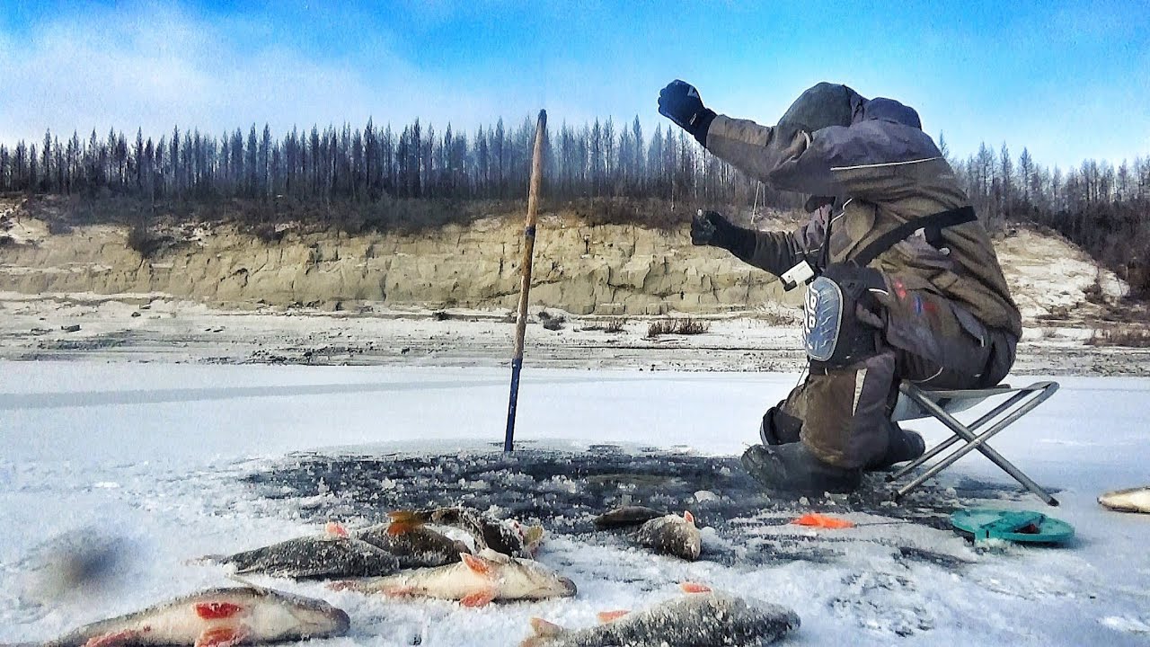 Новинки зимней рыбалки видео. Первый лед 2020 зимняя рыбалка в Якутии. СИБИРИЯ рыбалка 2021. Зимняя рыбалка СИБИРИЯ. Зимняя рыбалка в Якутии 2020.