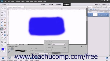 Photoshop Elements 13 Tutorial The Impressionist Brush Adobe Training