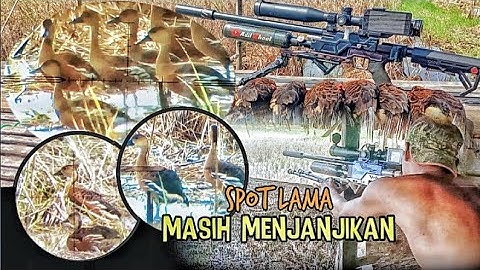 BERBURU BELIBIS MERAH DI SPOT LAMA //@edoethunter8112