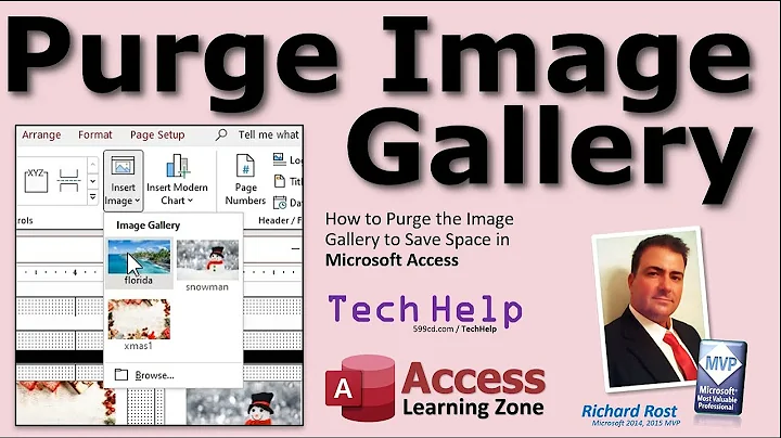 How to Purge the Image Gallery to Save Space in your Microsoft Access Databases + Compact & Repair